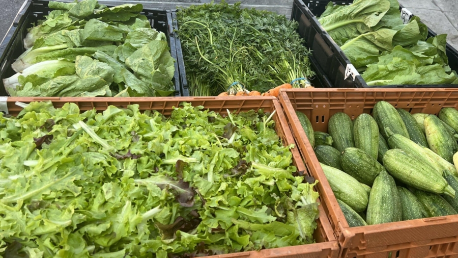 A box of fresh produce, including lettuce, carrots, and other green, from Mimomex Farms