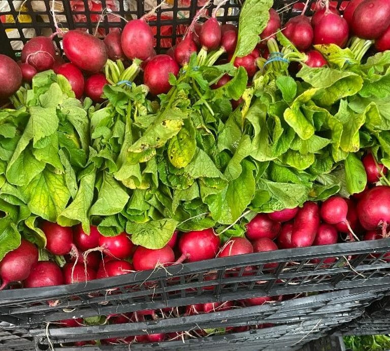 Beets delivered to our food pantry last week by Mimomex Farm