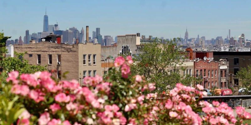 Sunset Park view with cherry blossoms